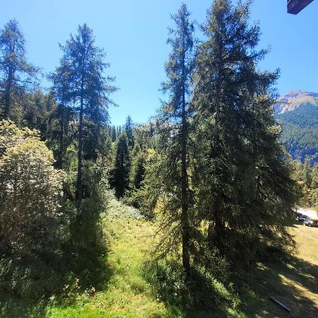 Le Lodge Des Marmottes - Calme, Cosy, Vue Nature Les Orres Exterior photo